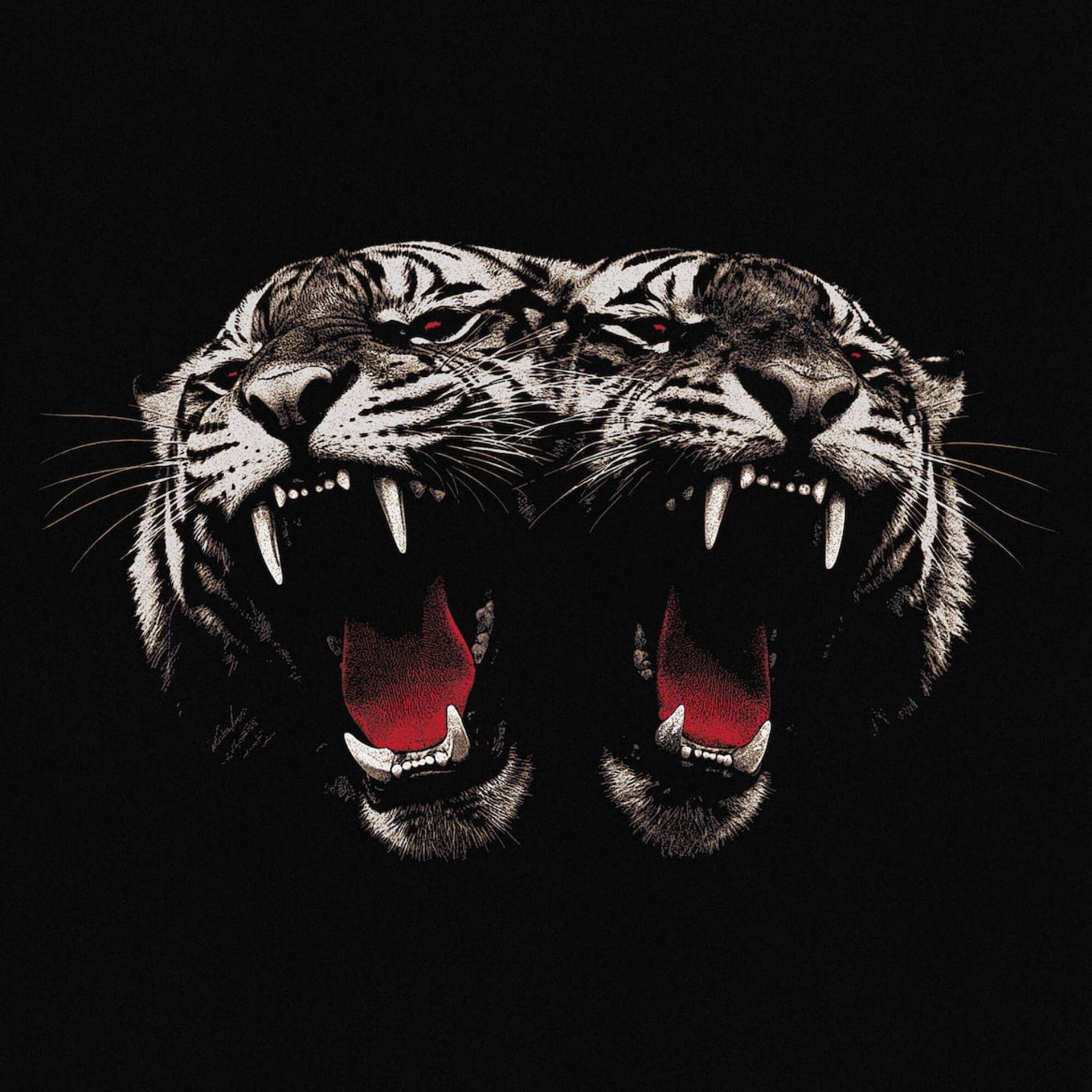 das Albumcover von Royal Blood Dead Company