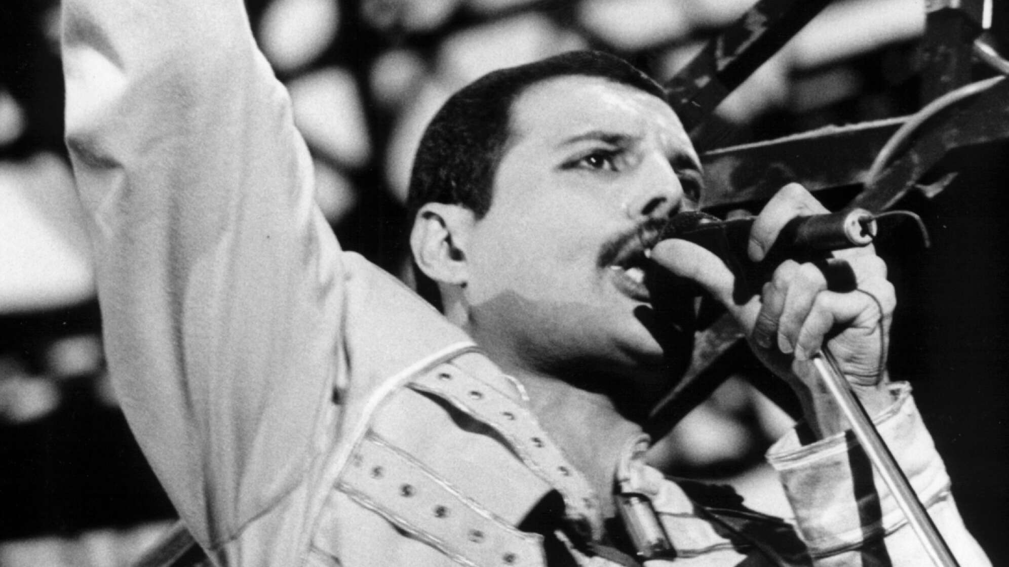 Freddie oder Fake: Welche Geschichten über Freddie Mercury stimmen?