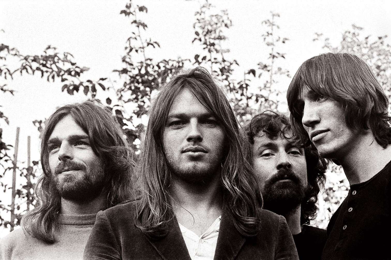 Bandmitglieder von Pink Floyd blicken in die Kamera