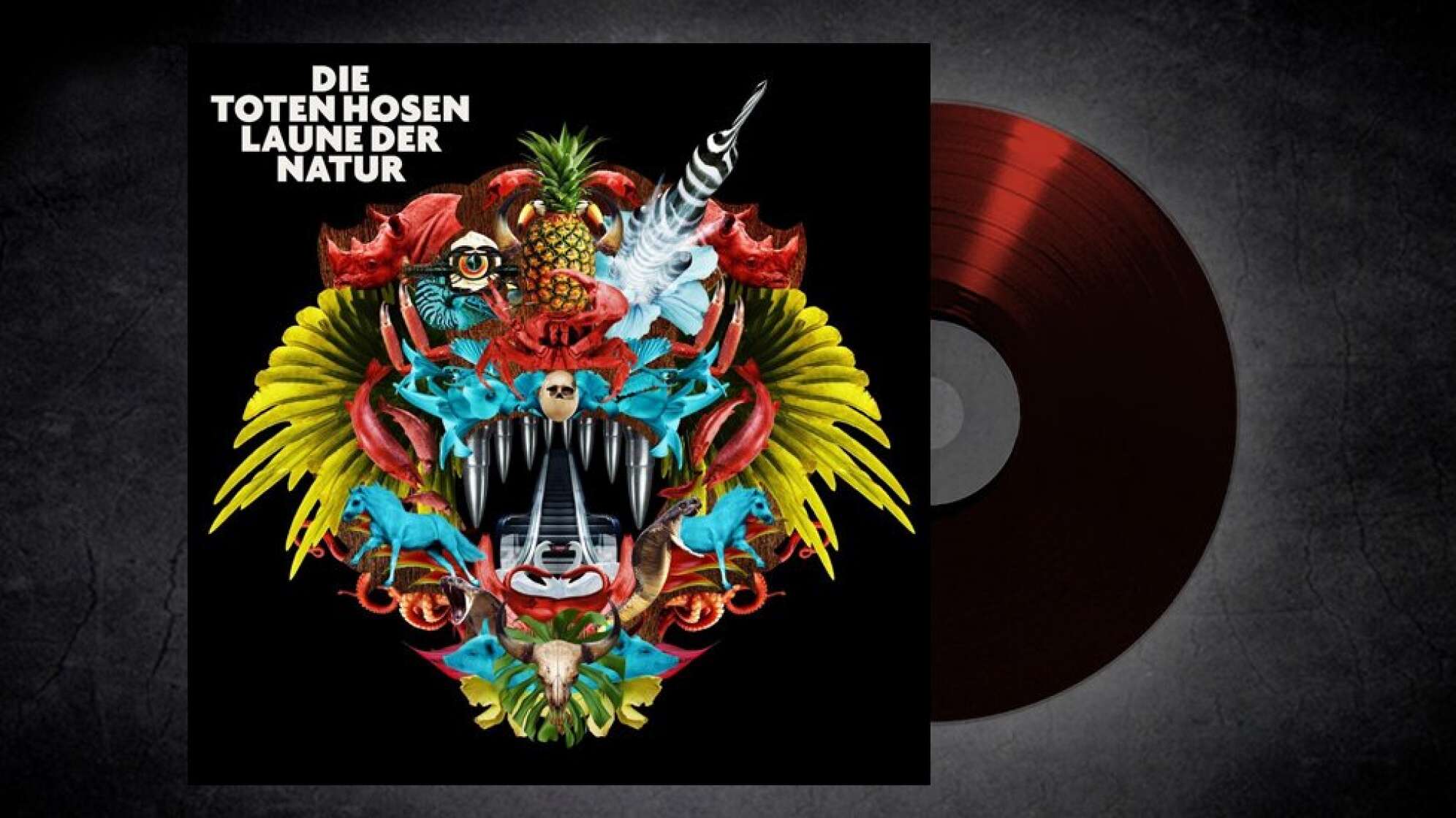 neues album von den toten hosen