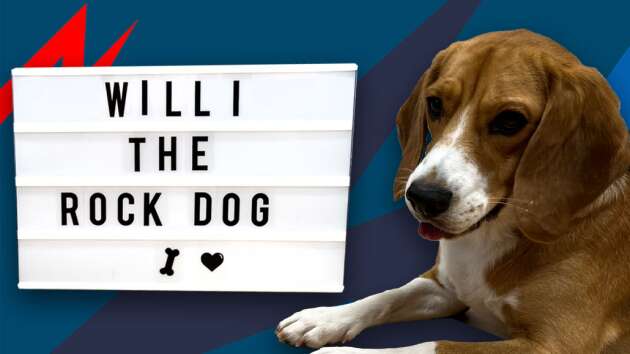 Willi - The Rock Dog